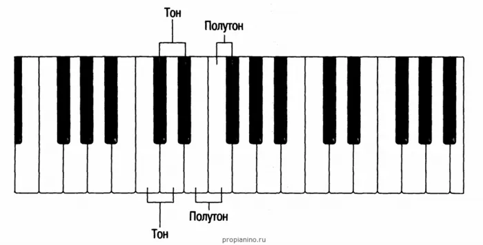 Как найти тон или полутон на клавишах пианино
