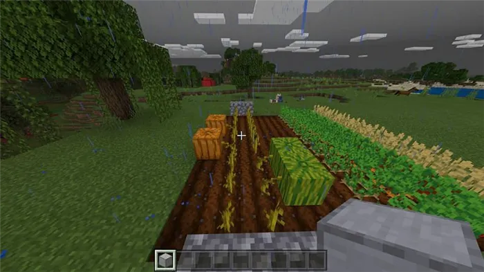  Как фармить в Minecraft5 