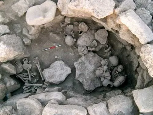 черепа зомби, Сирия
