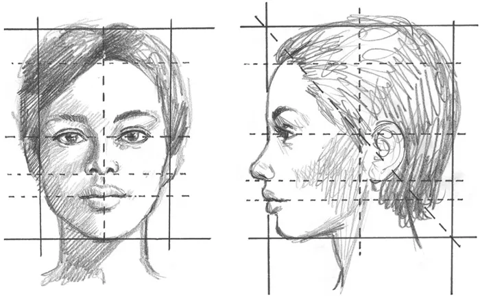 Рисование головы и лица карандашом