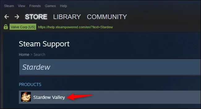 Получить поддержку игры в Steam