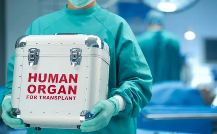 Человеческие органы в специальном контейнере в руках медработника 