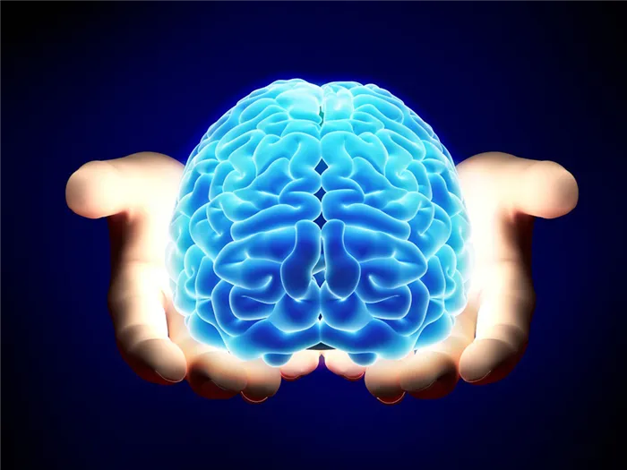 Человеческий мозг в руках