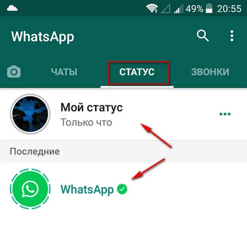 Статус в Whatsapp