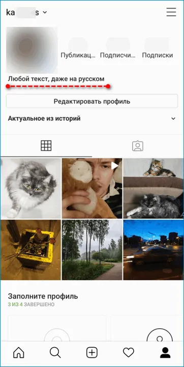 Результат ввода имени в профиле Instagram