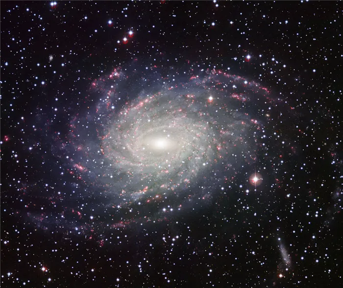Галактика NGC 6744, которая считается очень похожей на Млечный Путь.