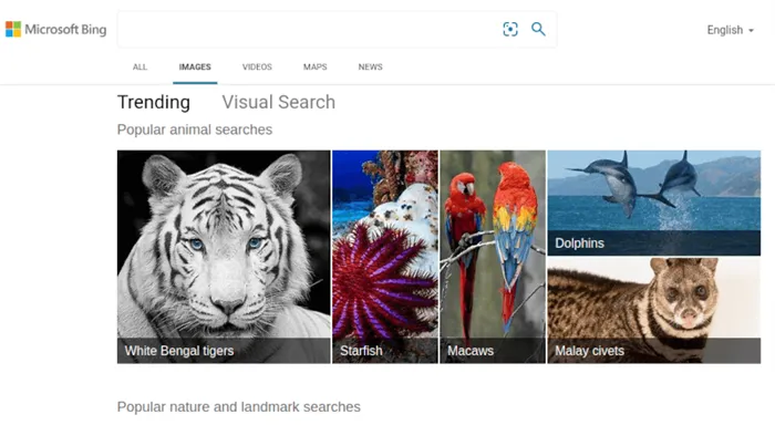 🎨 11 лучших поисковых систем по изображениям, которые нельзя пропустить