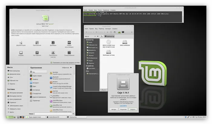скриншот рабочего стола linux mint