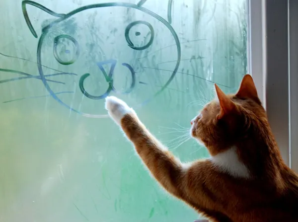 Как нарисовать кошку поэтапно: схемы, фото и видео мастер классы