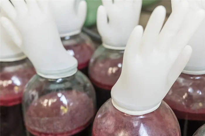 фото перчатки для брожения вина