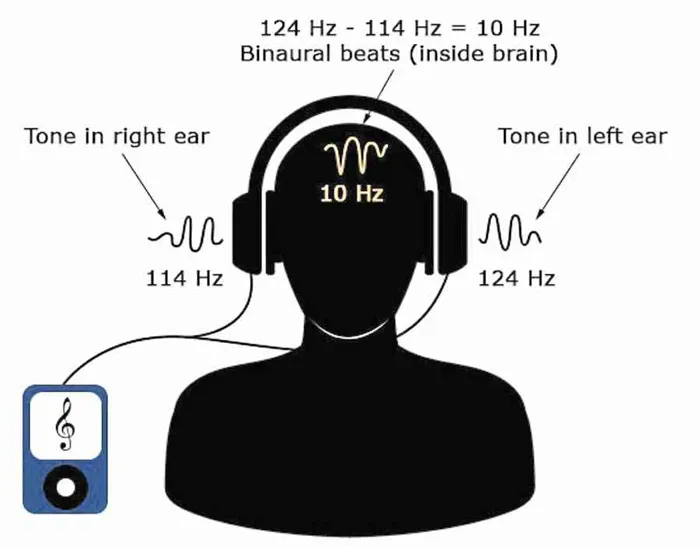 Человек слушает разночастотные звуки и его мозг 
