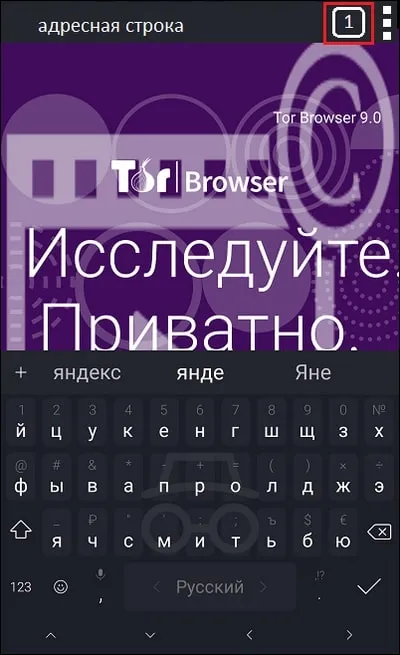 Что такое Tor Browser для ОС Android – подробная инструкция по установке и настройке