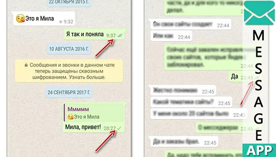 Почему в WhatsApp галочки не синеют при прочтении