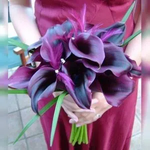Модный пурпурный цвет