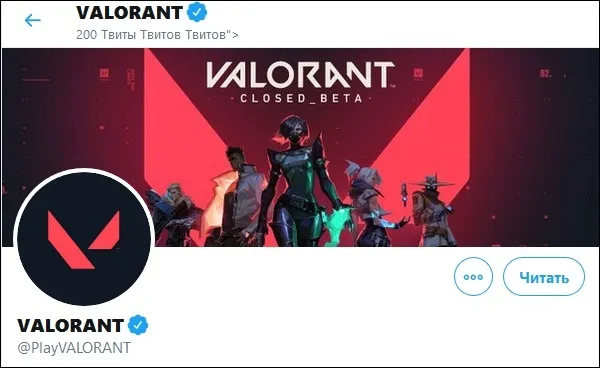 Твиттер Valorant